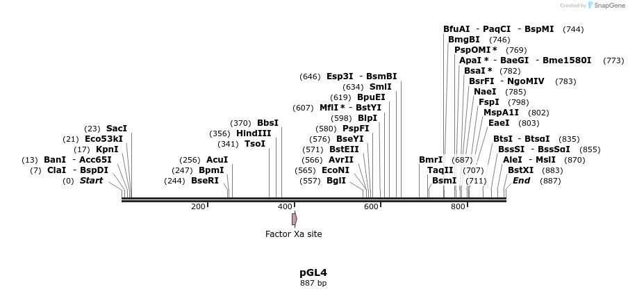 75612_map