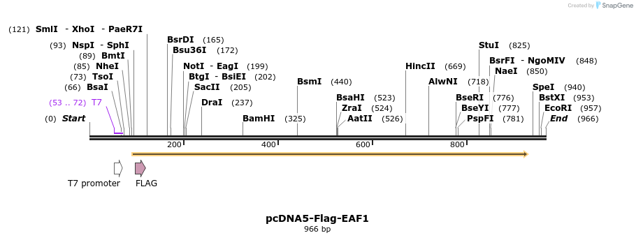 75614_map