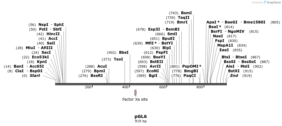 75615_map