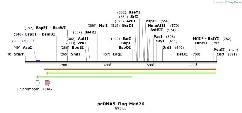 75616_map