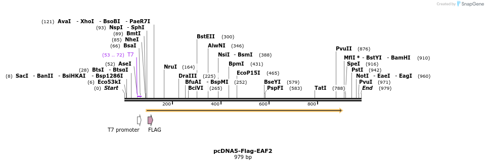 75617_map