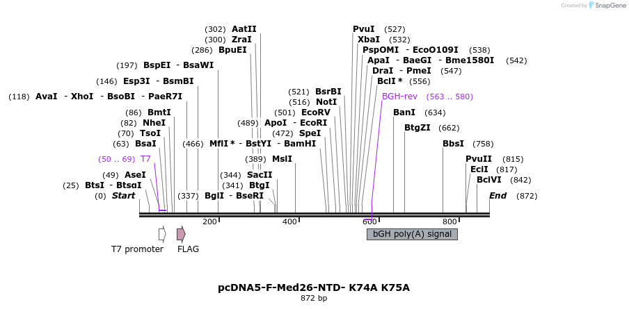 75619_map