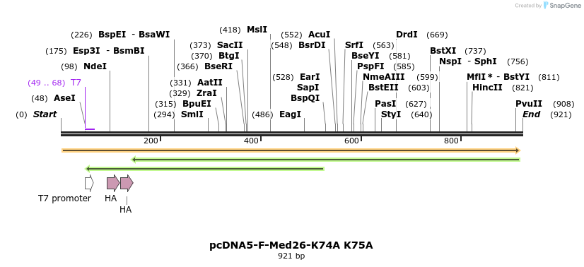 75620_map