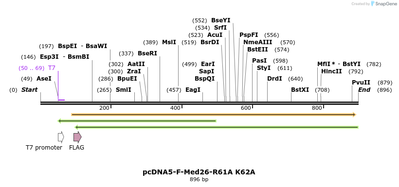 75621_map