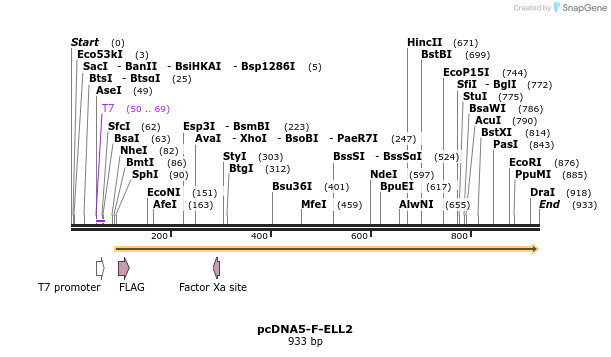 75624_map
