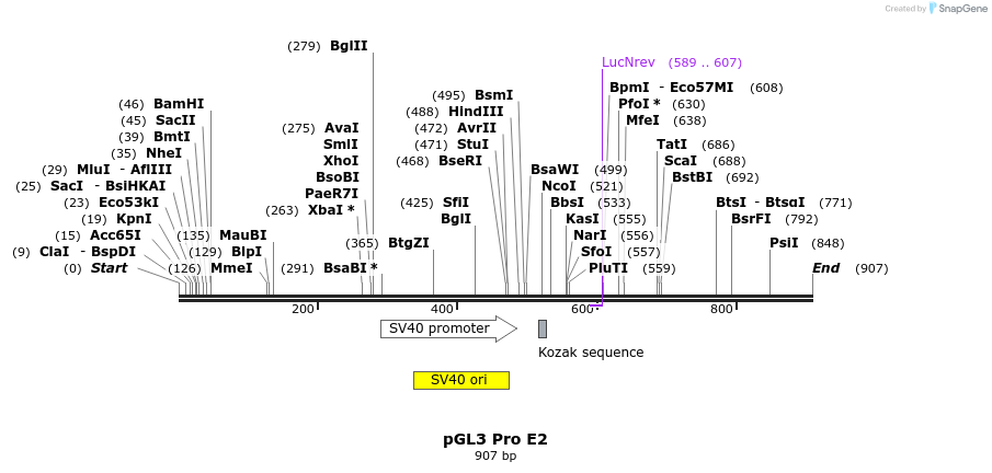 75625_map