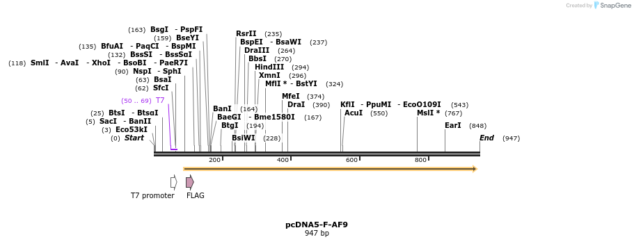 75627_map