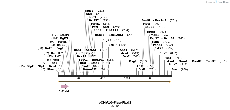 75630_map