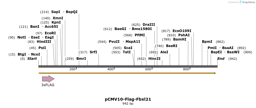 75631_map