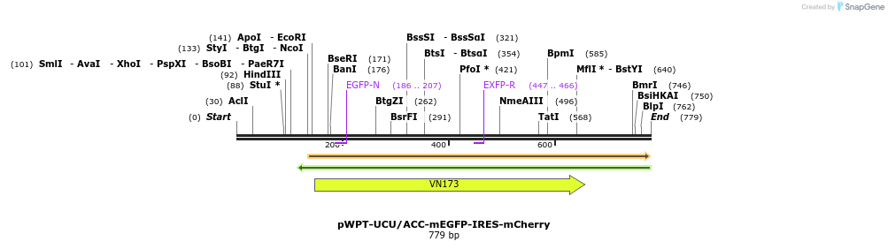 75648_map