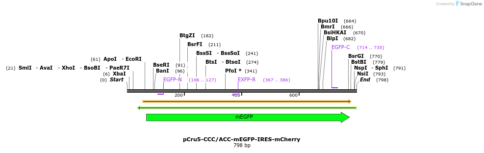 75651_map