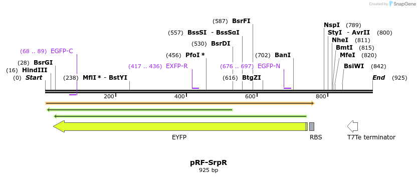 75653_map