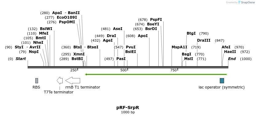 75655_map