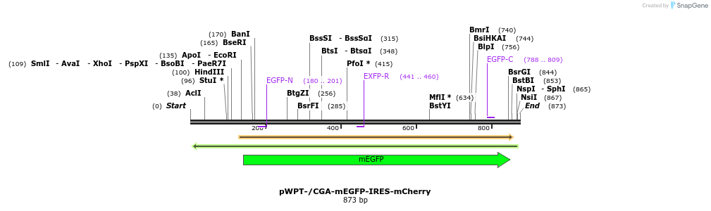 75656_map