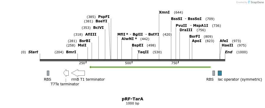 75661_map