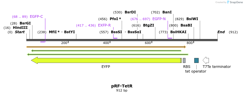 75667_map