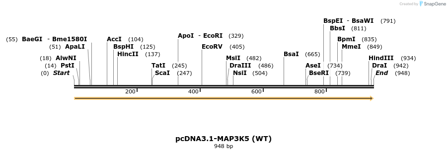 75671_map