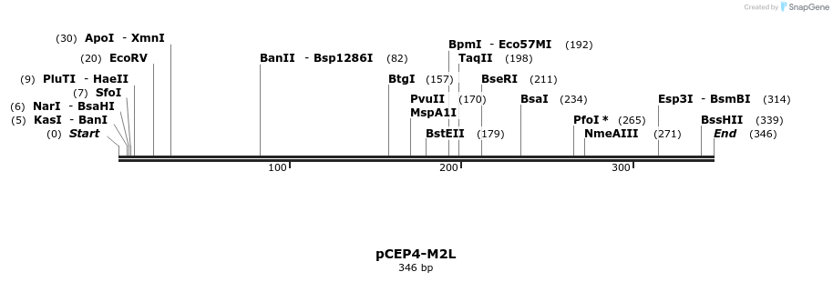 75677_map