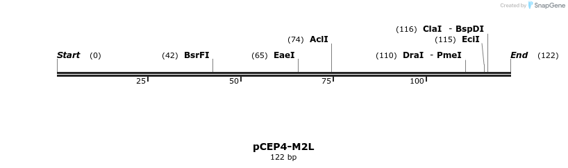 75678_map
