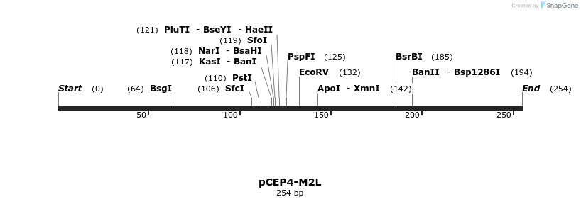75679_map