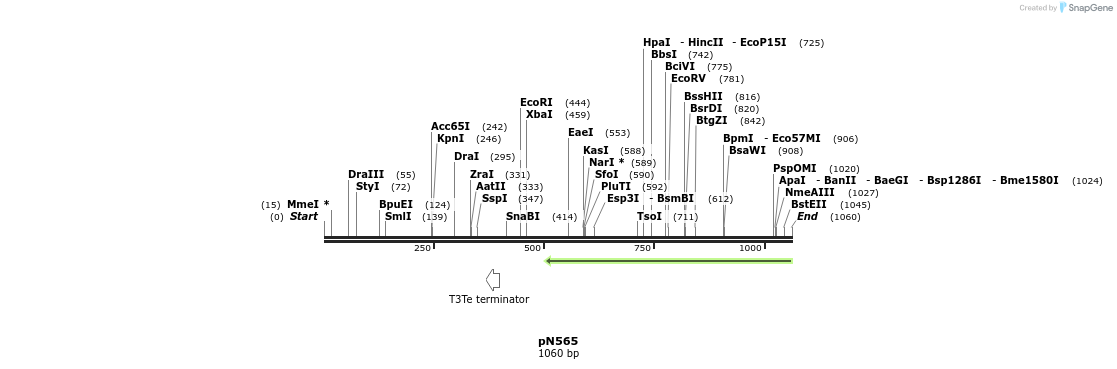 75698_map