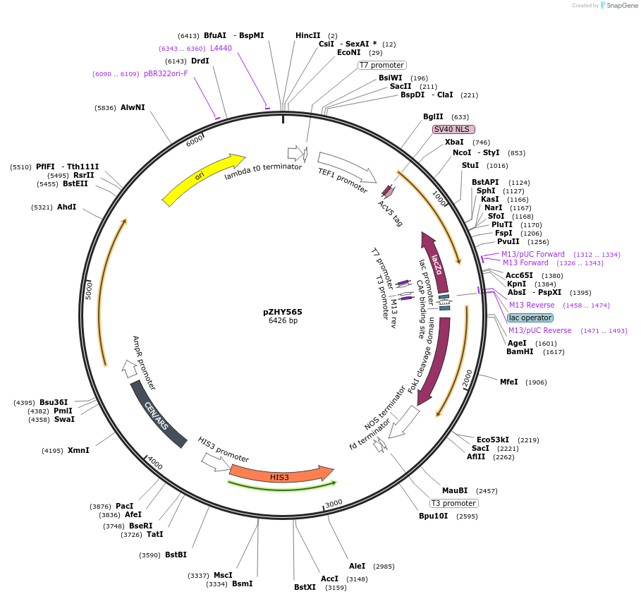 75702_map
