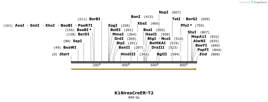75705_map