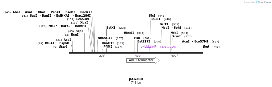 75706_map