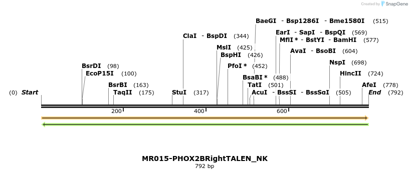 75708_map