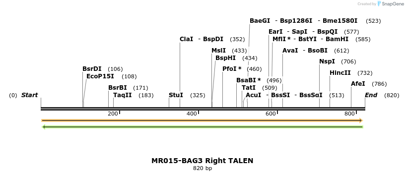 75709_map