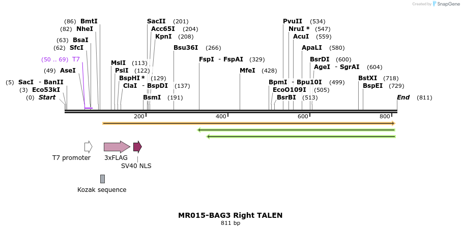 75715_map
