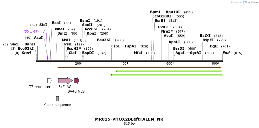 75716_map