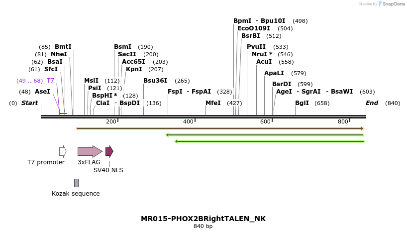 75717_map