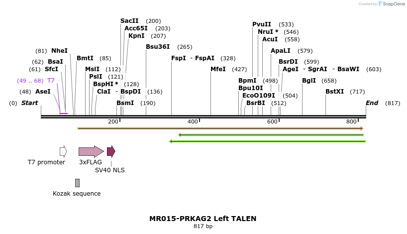 75718_map
