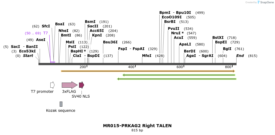 75719_map