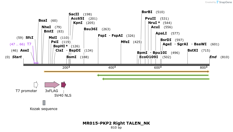75721_map