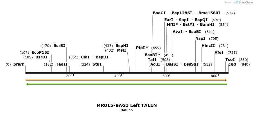 75723_map