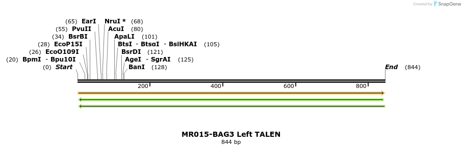 75724_map