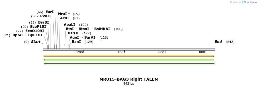75725_map