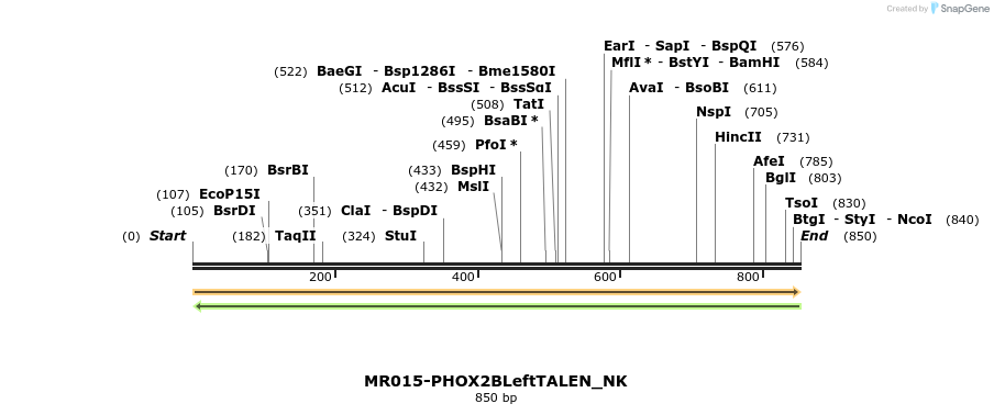 75726_map