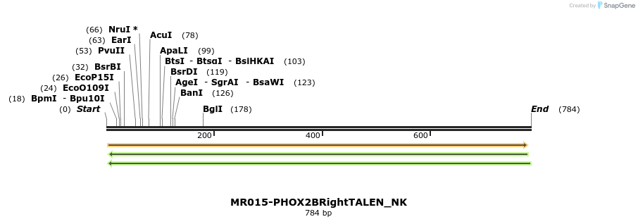 75729_map