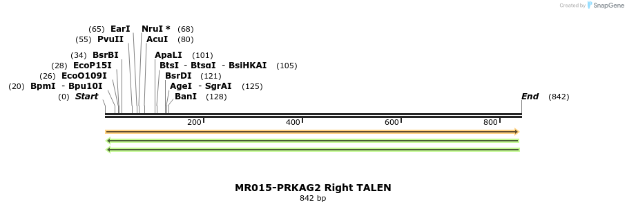 75731_map