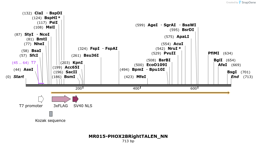 75737_map