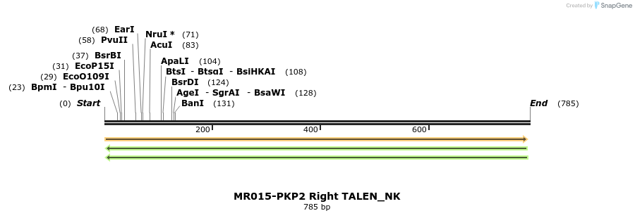 75741_map