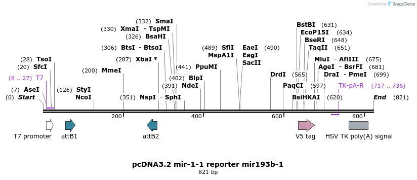 75778_map