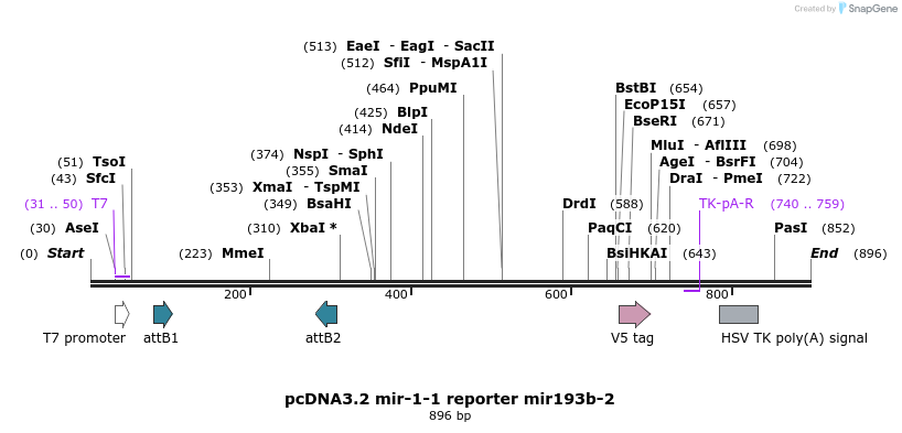 75780_map