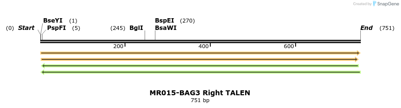 75781_map