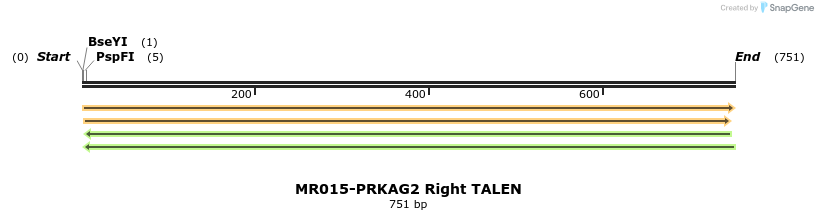 75787_map