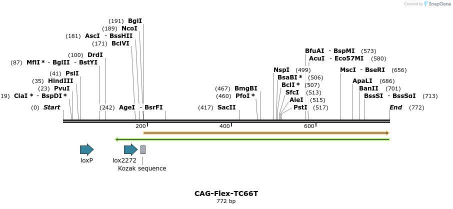 75794_map