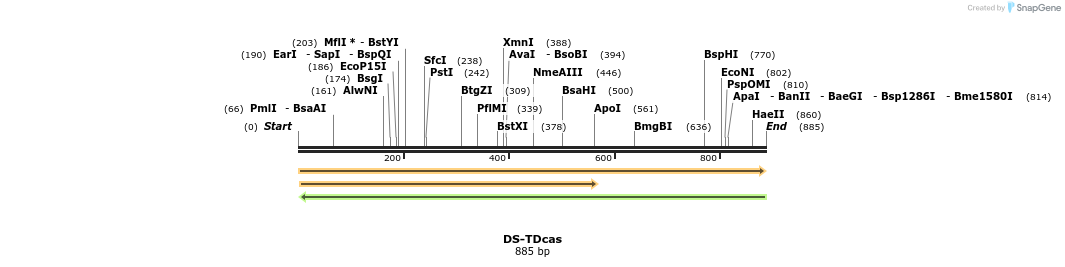 75797_map